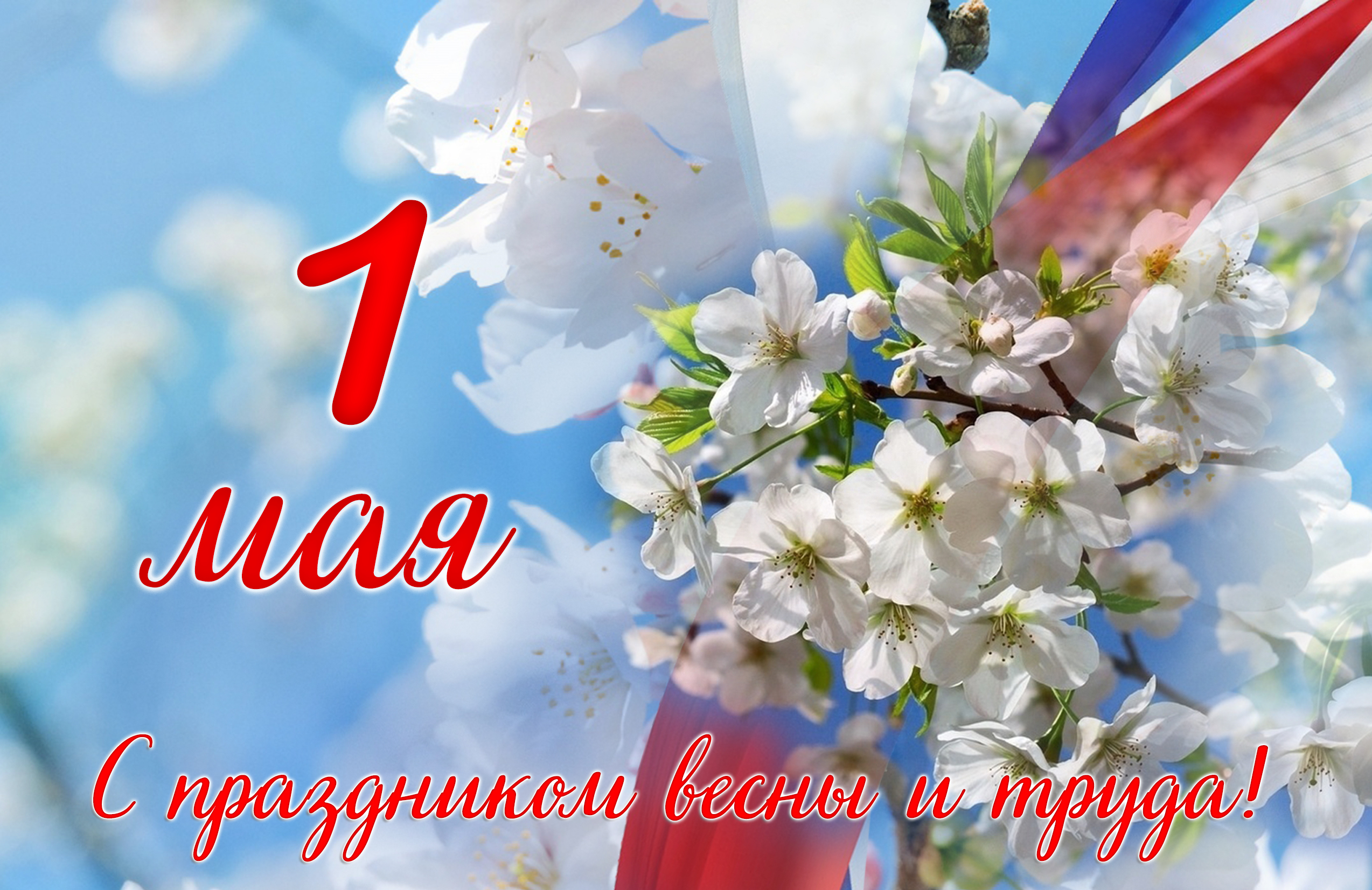 С праздником весны и труда!.